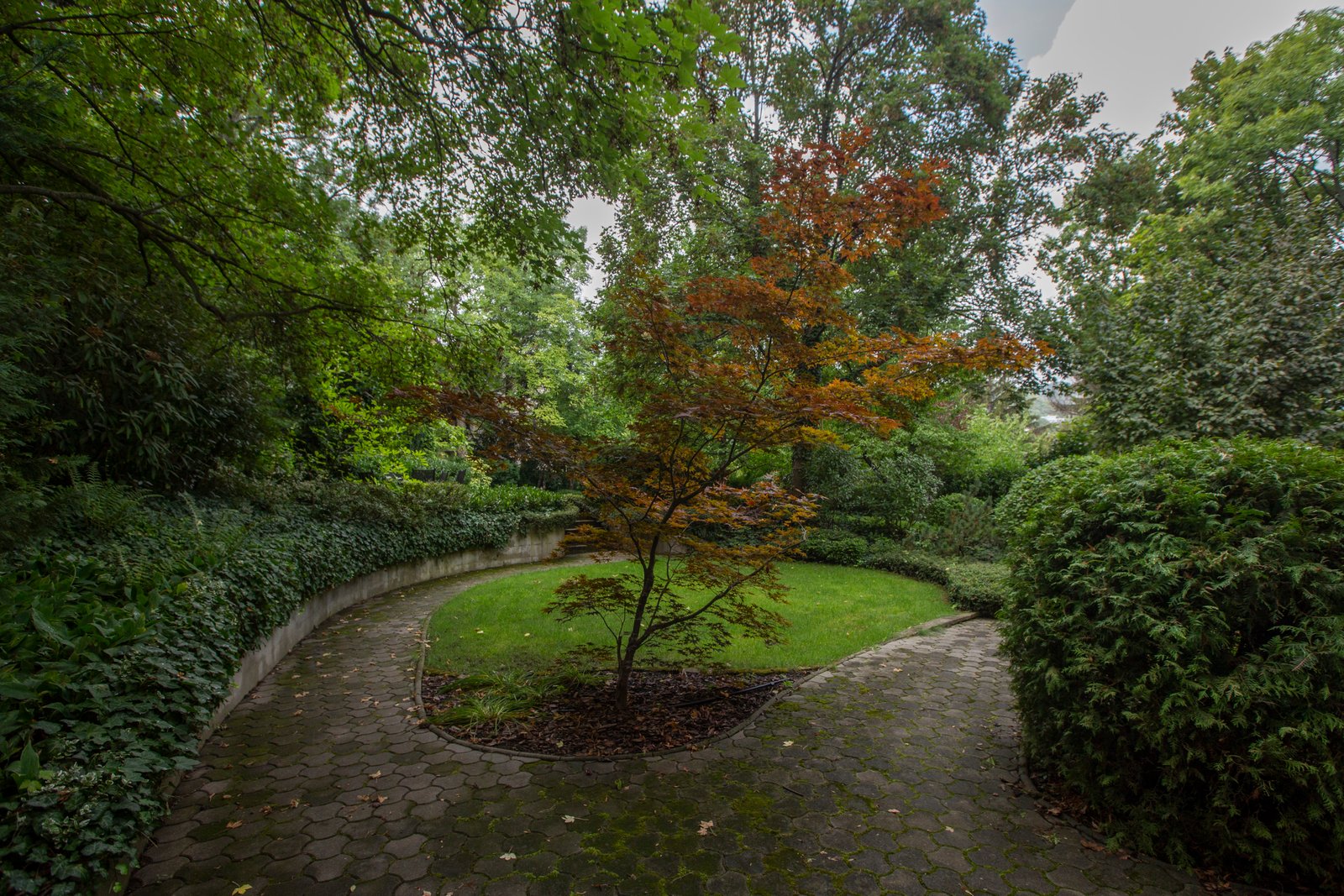 IMG_6006